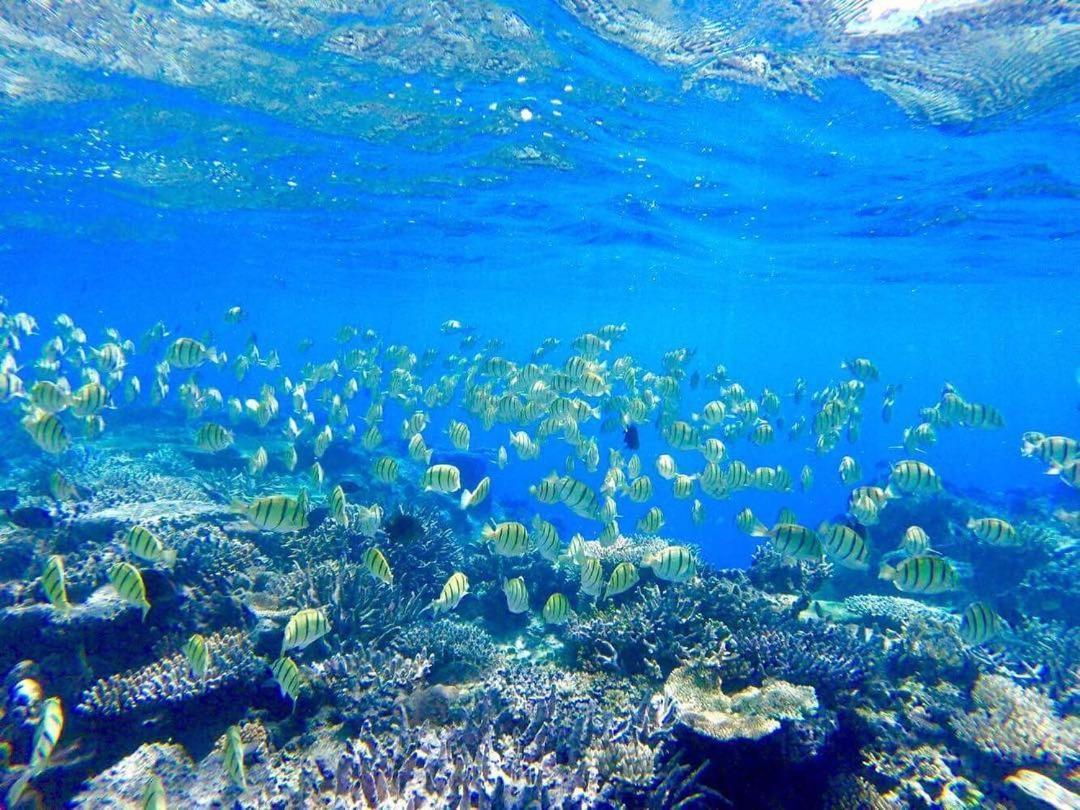 Korovou Eco Lodge Naviti Island Екстериор снимка